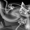Metamorphosis